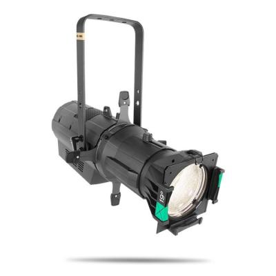 CHAUVET OVATION E-160WW
